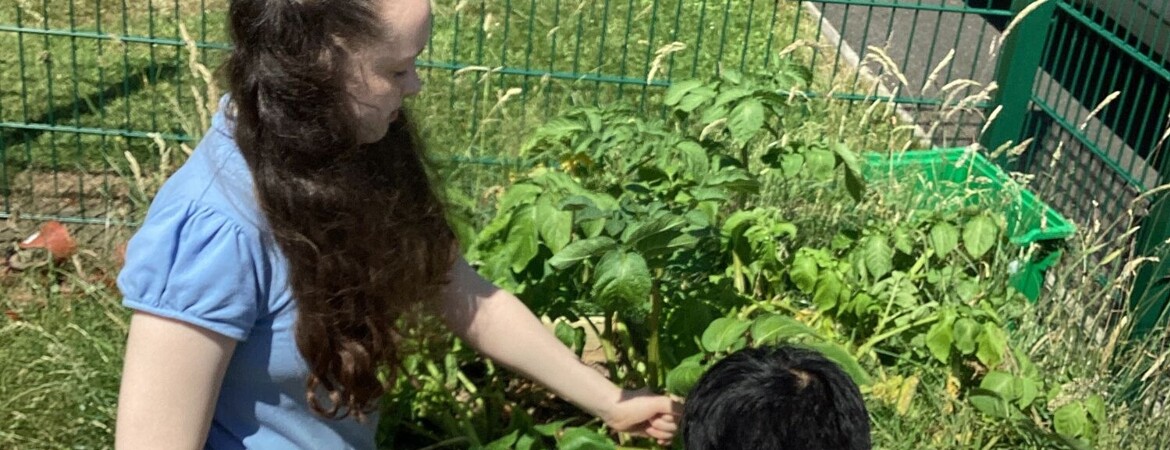 Blog Header Image